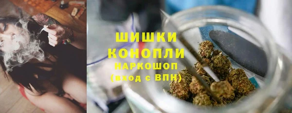 МДПВ Нефтегорск