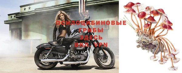 jwh Нефтекумск